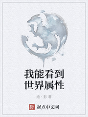 我能看到世界属性